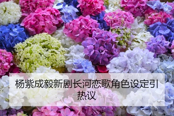 杨紫成毅新剧长河恋歌角色设定引热议